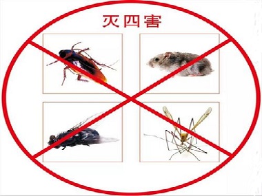 南海区虫害消杀进行定期虫害防治有什么作用