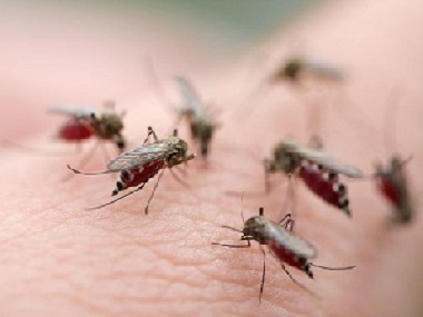 金沙四害消杀公司怎么有效消灭蚊虫防蚊子