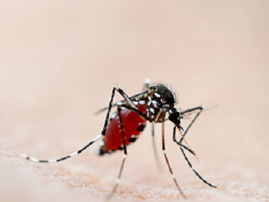 小塘除四害中心防蚊的小方法，让你轻松灭蚊防蚊