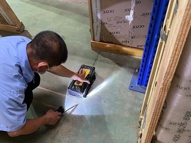 大沥预防白蚁机构仓库有白蚁怎么处理