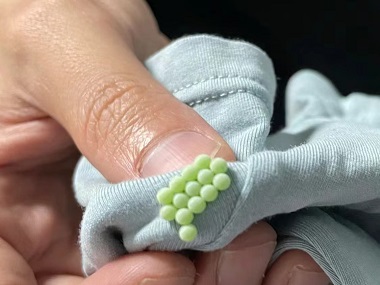 松岗专业杀虫公司怎么才能把臭虫消灭干净