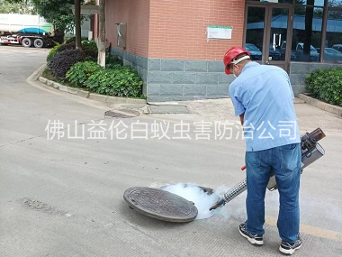 里水杀灭蟑螂蚊蝇工程